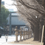 アルバムを表示します