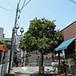 アルバムを表示します