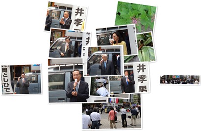 アルバムを表示します