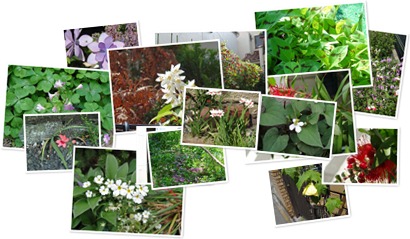 アルバムを表示します アルバムを表示します