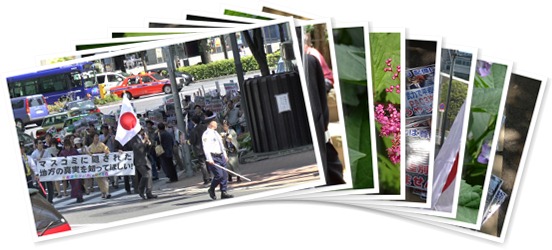 アルバムを表示します