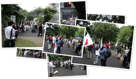 アルバムを表示します