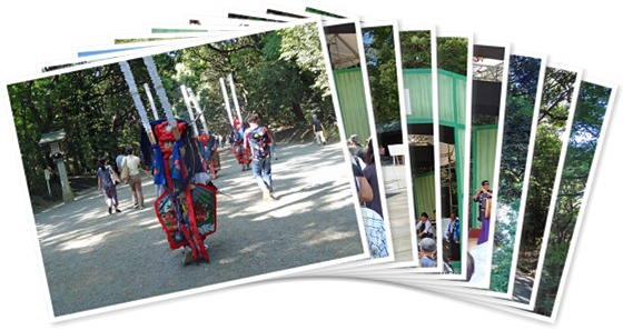 アルバムを表示します