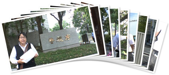 アルバムを表示します