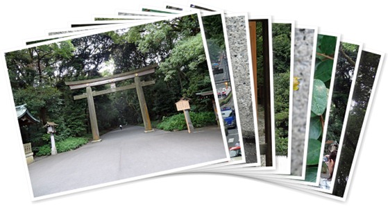 アルバムを表示します