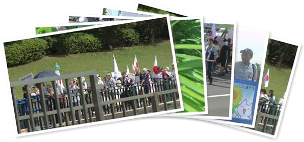 アルバムを表示します