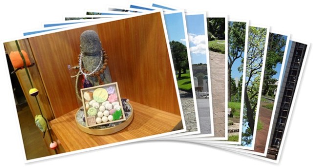 アルバムを表示します