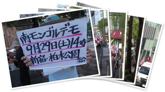 アルバムを表示します