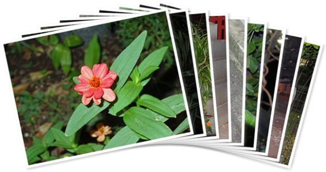 アルバムを表示します