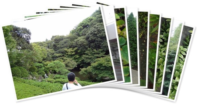 アルバムを表示します