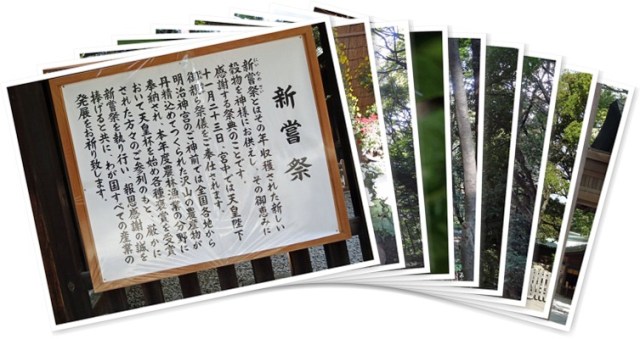 アルバムを表示します