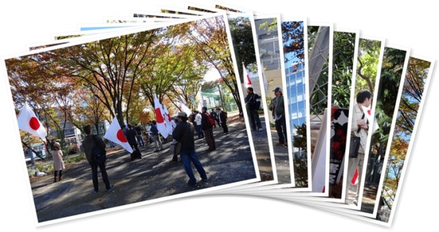 アルバムを表示します