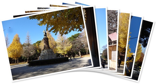 アルバムを表示します