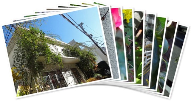 アルバムを表示します アルバムを表示します