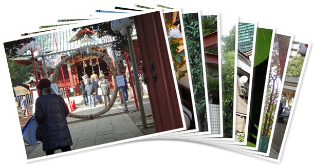 アルバムを表示します