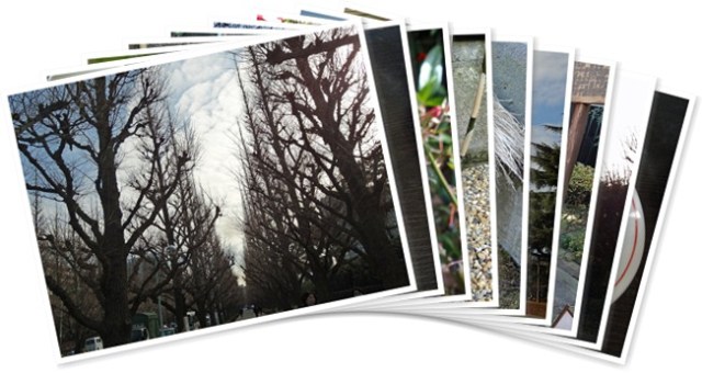 アルバムを表示します