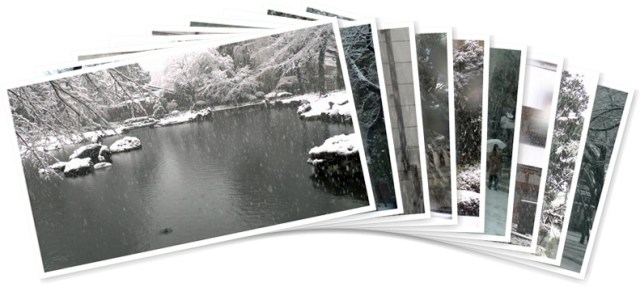 アルバムを表示します