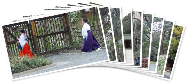 アルバムを表示します