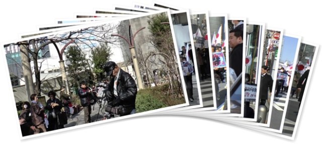 アルバムを表示します