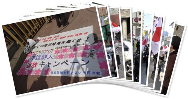 アルバムを表示します