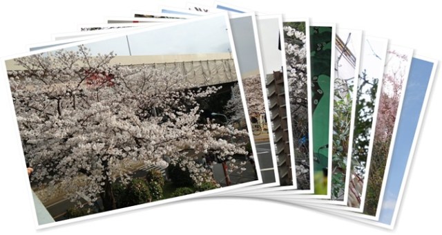 アルバムを表示します