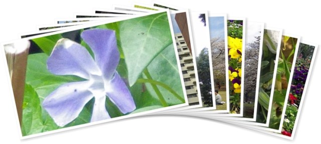 アルバムを表示します