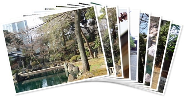 アルバムを表示します