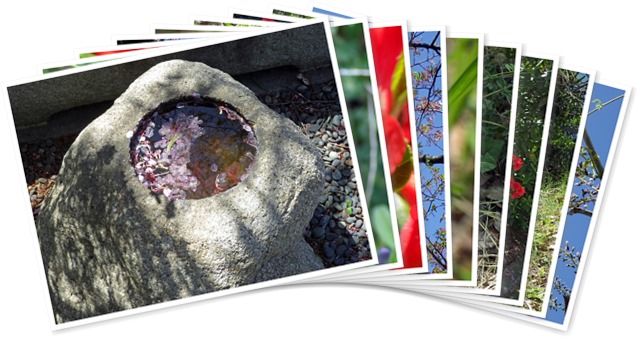 アルバムを表示します