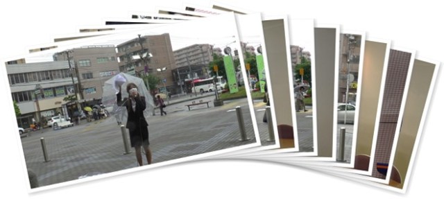 アルバムを表示します アルバムを表示します