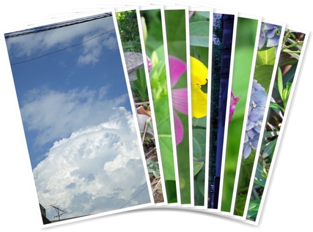 アルバムを表示します