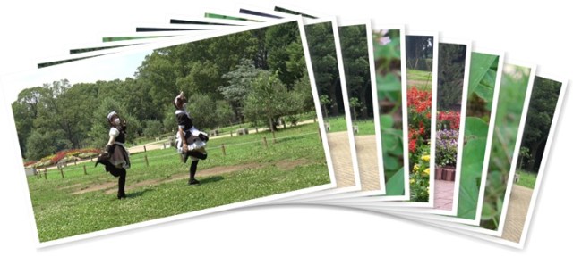 アルバムを表示します