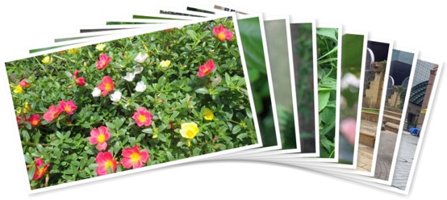 アルバムを表示します