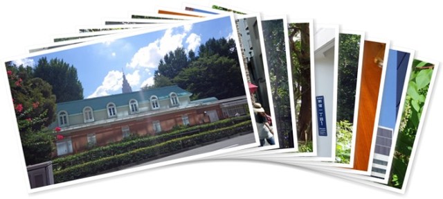 アルバムを表示します