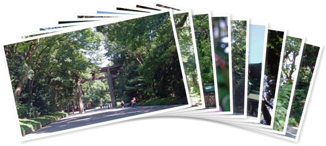 アルバムを表示します