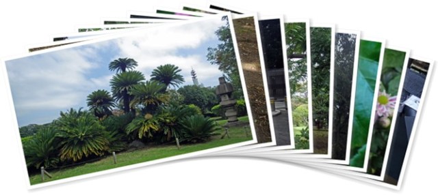 アルバムを表示します