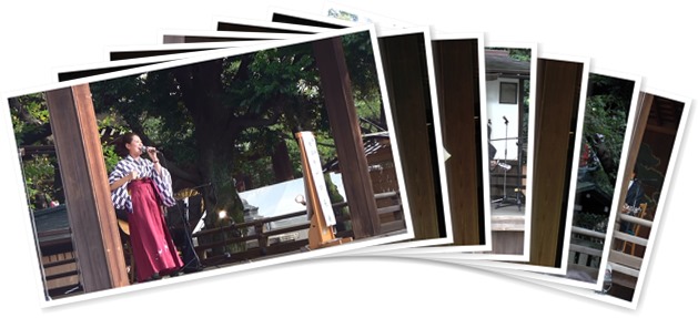 アルバムを表示します