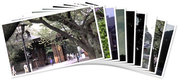 アルバムを表示します