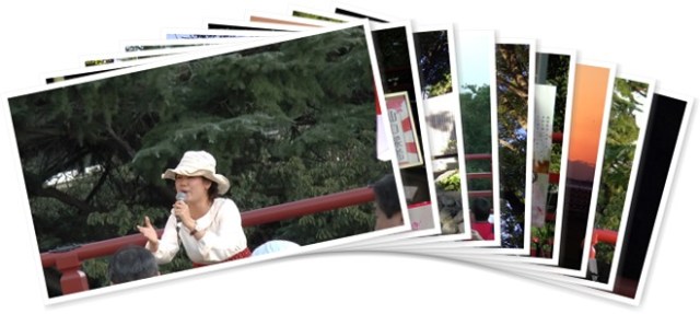 アルバムを表示します