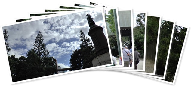 アルバムを表示します