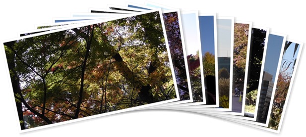 アルバムを表示します