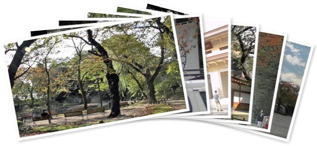 アルバムを表示します