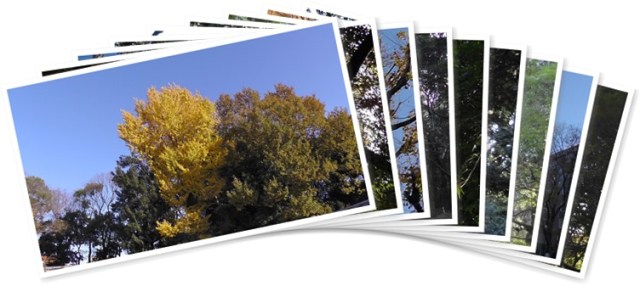 アルバムを表示します