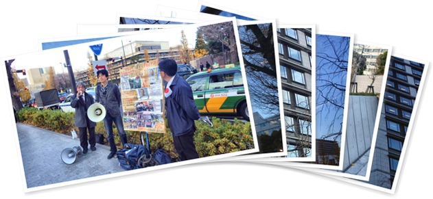 アルバムを表示します