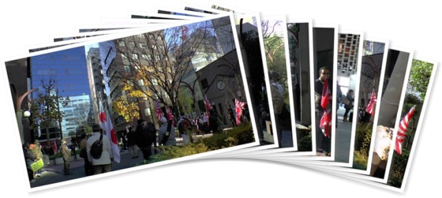 アルバムを表示します