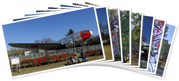 アルバムを表示します