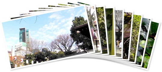 アルバムを表示します