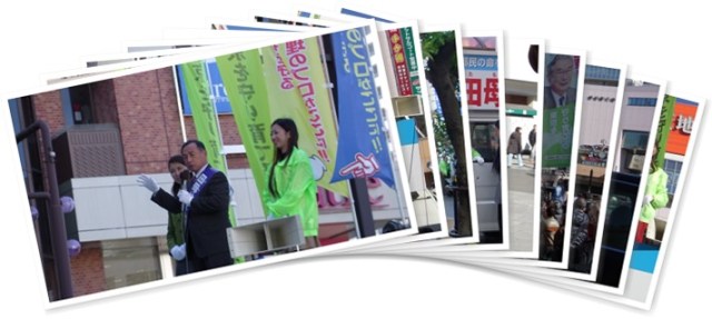 アルバムを表示します