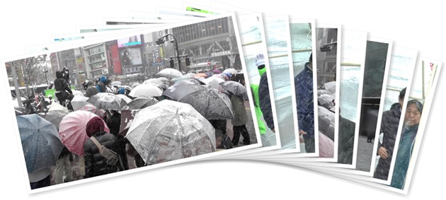 アルバムを表示します