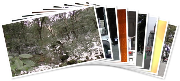 アルバムを表示します