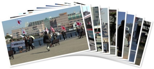 アルバムを表示します